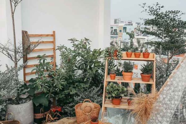 Nhà phố thông tầng 40m2 tone trắng gỗ xinh xắn 9 nha thong tang 40m2 tone trang go xinh xan 20