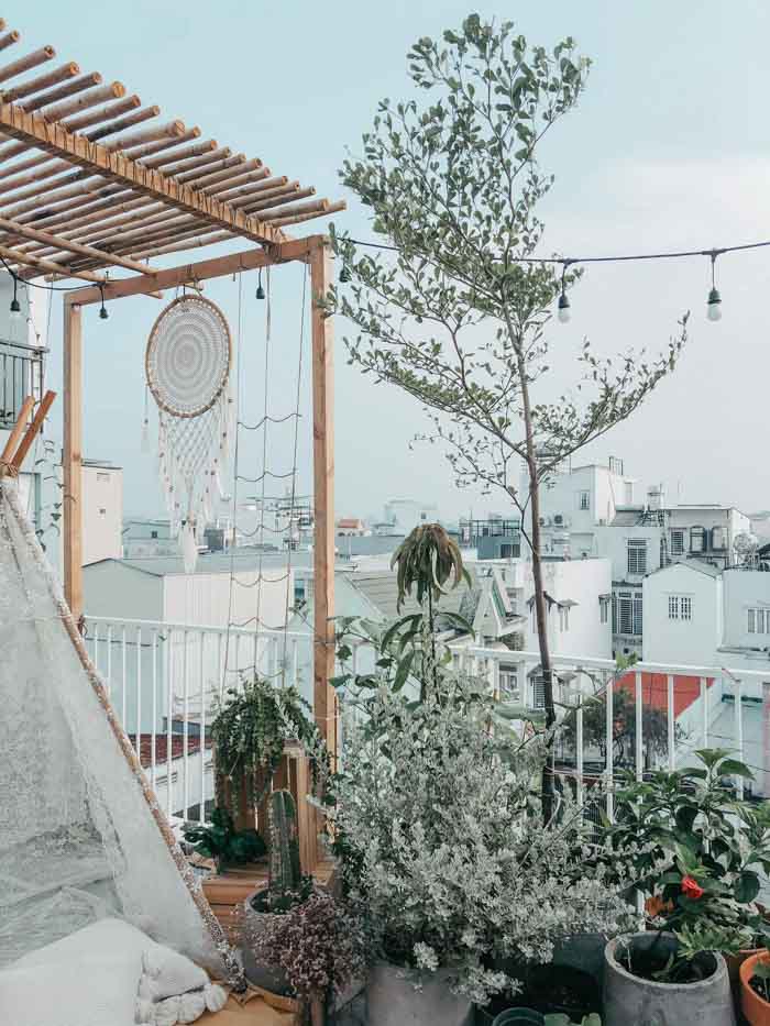 Kết hợp các loại cây cho góc chụp ưng ý Kết hợp các loại cây cho góc chụp ưng ý