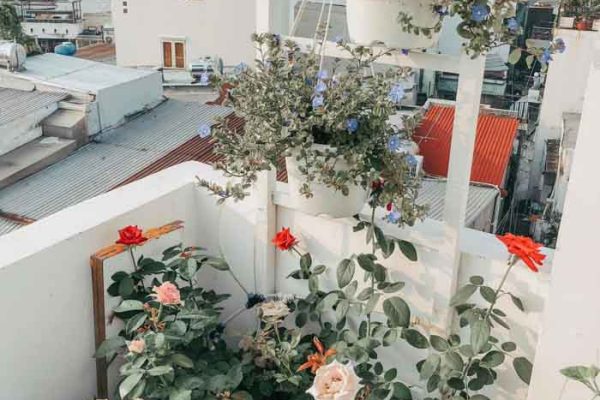 Nhà phố thông tầng 40m2 tone trắng gỗ xinh xắn 2 nha thong tang 40m2 tone trang go xinh xan 25